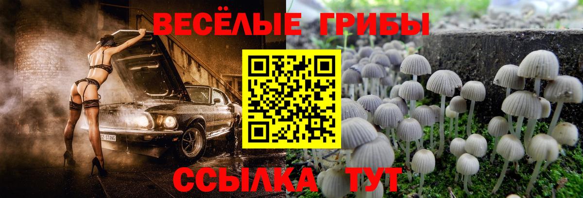 Псилоцибиновые грибы MAGIC MUSHROOMS Всеволожск