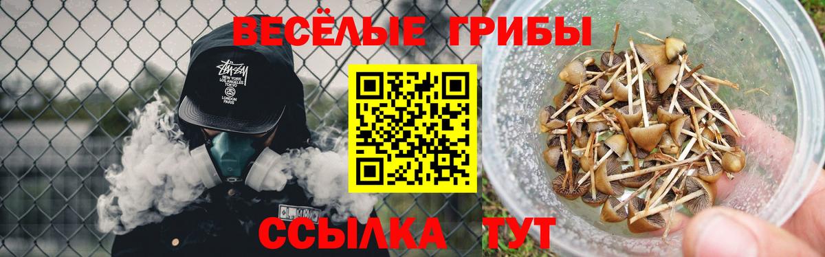 Галлюциногенные грибы Magic Shrooms  Вход с VPN  Всеволожск 